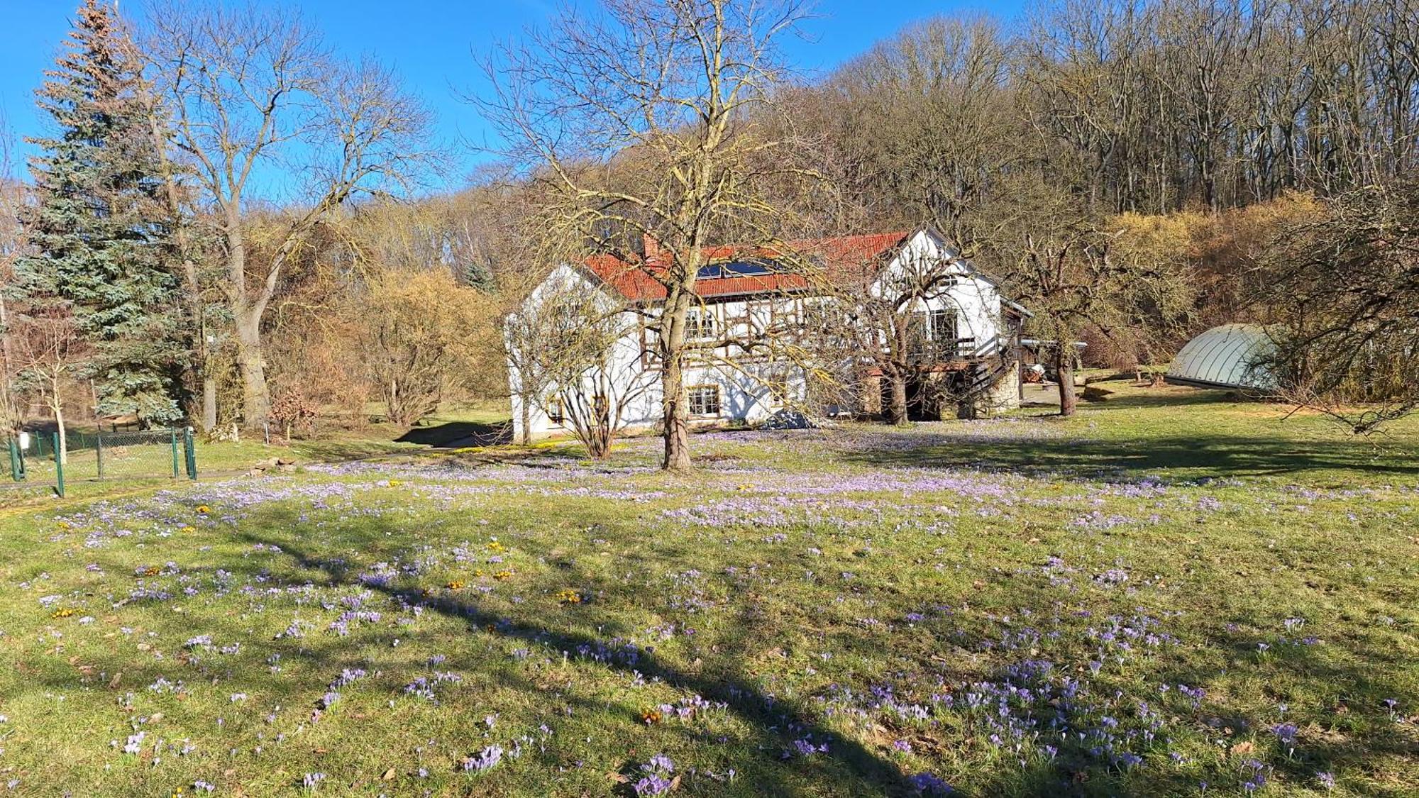 Ferienwohnung Obermuehle Ballstadt ห้อง รูปภาพ